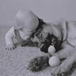 A female dog protects an abandoned newborn human
