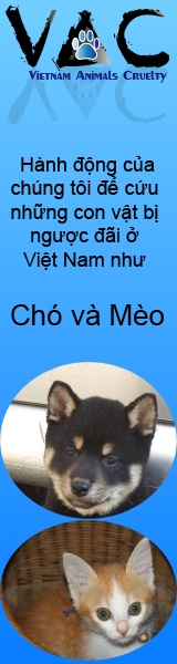VAC Vietnam Animals Cruelty