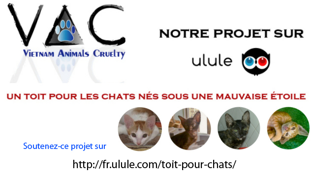 Accueil projet ulule