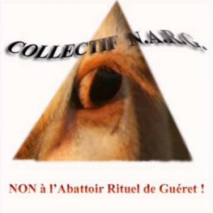 Collectif N.A.R.G appel à témoins.