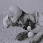 Une chienne protège un nouveau né humain abandonné