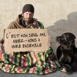 Le maire de Valence en guerre contre les proprietaires de chiens