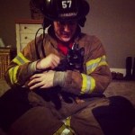 A cat rescued by firefighters