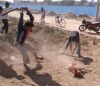 Massacres de chiens à Meerut 