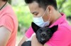Soi Dog Foundation a besoin d'aide